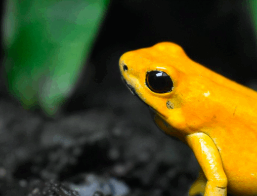 Captura de Pantalla 2025 11 20 a las 1.43.39 p.m 1