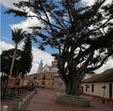 Captura de Pantalla 2025 11 21 a las 1.22.40 p.m 4