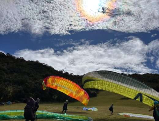 Imagen de WhatsApp 2025 12 04 a las 15.52.43 dc626237